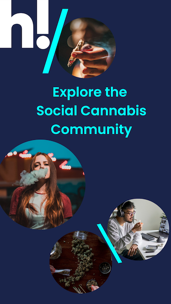 Download the High There Social Cannabis App